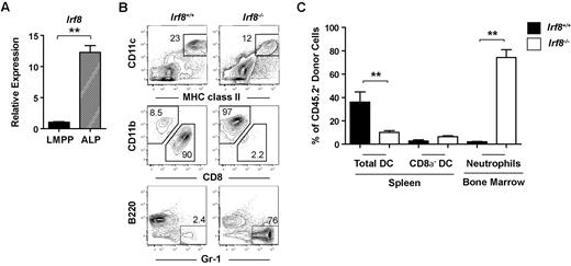 Figure 5. ALPs from Irf8−/− mice but not wild-type mice produce neutrophils in vivo. (A) LMPPs and ALPs were double-sorted from the BM of Irf8−/− or wild-type controls and quantitative real-time PCR analysis of IRF-8 expression was carried out. Data are representative of 6 independent experiments. (B-C) Four thousand ALPs purified from either Irf8−/− or wild-type mice were injected intravenously into each 800 cGy-irradiated F1 recipient (CD45.1+CD45.2+). BM and spleen were harvested 10 days after transplantation and the development of DCs, neutrophils, and B cells was analyzed by flow cytometry. (B) Representative contour plots. (C) Pooled data from 3 independent experiments. Data represent 5 wild-type and 6 Irf8−/− recipients. Error bars show calculated SEM; **P < .05.