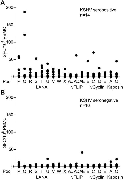 Figure 1. KSHV latent antigen-specific ELISPOT analysis of PBMCs from KSHV seropositive and seronegative donors. PBMCs from 14 KSHV seropositive donors (A) and 16 KSHV seronegative donors (B) were tested by IFN-γ ELISPOT against pools of overlapping peptides that spanned the KSHV latent antigens. Results are reported as number of spot-forming cells (SFC) per million PBMCs. Background responses to the DMSO control have been subtracted from the values presented; mean values were 10 and 3 SFC/million PBMCs for the seropositive and seronegative donors, respectively.