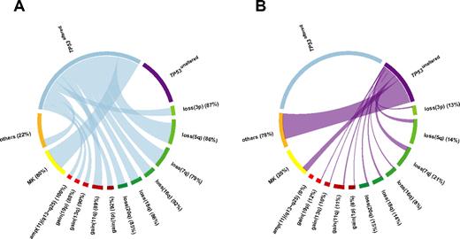 Figure 2. Relative frequencies and pairwise co-occurrences of TP53 alteration-associated genomic aberrations illustrated using Circos Table Viewer Version 0.52.28 The percentages indicate the proportion of each aberration associated with (A) TP53altered CK-AMLs and (B) TP53unaltered CK-AMLs. Unaltered TP53 and amp(11)(q13∼q25) were mutually exclusive. MK is based on cytogenetics analysis.
