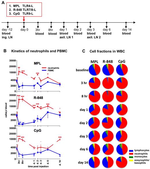 Figure 1. Injection of TLR-Ls induces rapid, systemic expansion of neutrophils and reduced PBMC numbers. (A) Experimental design. Rhesus macaques (n = 3) were injected intradermally with the TLR agonists MPL (100 μg), R-848 (2 mg), and CpG-ODN (2 mg) at day 0. Blood was collected for analysis before injection and at 3 and 8 hours and 1, 2, 3, 6, and 14 days after injection. Inguinal (ing.) LNs were collected before injection (day −12, baseline) and the left and right axillary (axil.) LNs at days 1 and 3 after injection. (B) Kinetics of total numbers of neutrophils (red) and PBMCs (blue) in blood were assessed within the total WBCs by hematologic analysis. The PBMC subset represents pooled numbers of lymphocytes and monocytes. Statistical analysis of cell kinetics indicates significant change relevant to the baseline. Data are means ± SEM. *P < .05; **P < .01; ***P < .001 by t test. (C) Fractions of neutrophils (red), lymphocytes (blue), monocytes (green), and basophils and eosinophils (yellow) were assessed as in panel B. Each pie chart shows the mean percentage of the indicated cell populations within the experimental group at the indicated time points.