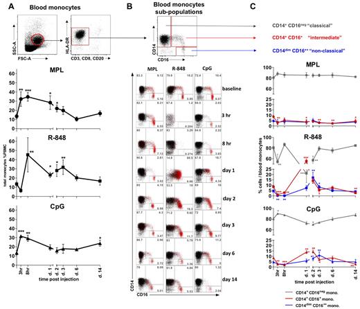 Figure 2. All TLR-Ls induce systemic expansion of monocytes, but only R-848 and CpG-ODN induce rapid, transient expansion of CD14+CD16+ inflammatory monocytes. (A) The total monocyte population was identified within the SSC-AhiFSC-Ahi PBMCs as the CD3−CD8−CD20− HLA-DR+ population. Kinetics of total monocyte frequencies within PBMCs were assessed at the indicated time points after TLR-L injection. (B) Three distinct subpopulations were defined within the total monocytes by CD14 and CD16 staining: CD14+CD16−, CD14+CD16+, and CD14dimCD16++. The flow cytometric dot blot representation of monocyte subpopulations frequencies within the total monocytes at baseline (day −12) and at 3 and 8 hours and 1, 2, 3, 6, and 14 days after TLR-L injection are shown. The CD16+ cells (red) are overlaid on the total monocyte population (black). Numbers in gates represent the frequency of distinct subpopulations within the total monocytes in one representative animal from each experimental group. (C) Kinetics of frequencies of the CD14+CD16− (gray), CD14+CD16+ (red), and CD14dimCD16++ (blue) subpopulations within the total monocytes were assessed at the indicated time points after TLR-L injection. Statistical analysis of cell kinetics in panels A and C indicates significant change relevant to the baseline. Data are means ± SEM. *P < .05; **P < .01; ***P < .001 by t test.