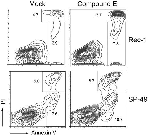 Figure 6. γ-Secretase inhibition induces apoptosis in Rec-1 and SP-49. Cells were incubated for 6 days in duplicate with 1μM of compound E. Apoptosis was assessed by flow cytometry after staining with an allophycocyanin- or FITC-labeled antibody against annexin V and PI. Labels indicate mean percentages of cells in given populations.