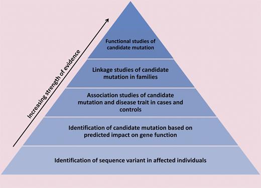 A hierarchical model of evidence for establishing the pathogenicity of a sequence variant is shown. Identification of a novel variant in an affected individual provides relatively weak evidence because it does not address the possibility that the variant is benign. Somewhat stronger evidence comes from prediction of a variant's impact on gene function, for example, changes in protein-coding sequence or known regulatory regions or disruption of an evolutionarily conserved domain. Association studies of phenotype and candidate mutations in cases and controls and linkage studies of candidate mutations within families offer further support for a variant's clinical significance. The most conclusive evidence of pathogenicity is provided by functional studies of sequence variants: for example, introduction of a candidate mutation in vivo recapitulates the disease phenotype or affects protein function in an in vitro assay. As demonstrated by Bellissimo et al, undergirding all of these studies are investigations of ethnically diverse normal populations, which help to illuminate normal genetic variation.5