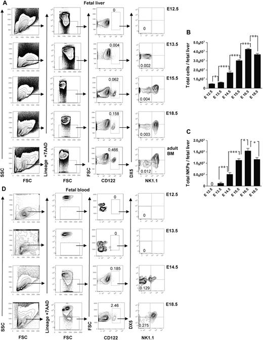 Figure 1. Emergence of Lin−CD3−CD122+NK1.1−DX5− NK-cell progenitors in different embryonic sites. (A) Typical FACS profiles of Lin−CD3−CD122+NK1.1−DX5− NK-cell progenitors analyzed in the liver from 12.5- to 18.5-day-old fetuses. (B) Total number of fetal liver cells and (C) total number of Lin−CD3−CD122+NK1.1−DX5− NK-cell progenitors. Data represent mean ± SD values from 5 to 14 livers from fetuses from 2 to 3 litters. Text above the plots and arrows indicate the gating strategies. Numbers in FACS profiles show mean frequencies of populations within the indicated gates relative to total fetal liver cells. Profile from the adult BM is included as a control. The 0 indicates values below the detection level. (D) Representative profiles of Lin−CD3−CD122+NK1.1−DX5− NK-cell progenitors in peripheral blood from 12.5- to 18.5-day-old fetuses. Numbers show mean frequencies from 5 fetuses from 2 litters analyzed per time point in 2-3 replicates. *P < .05, **P < .01, and ***P < .0001.