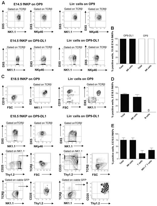 Figure 2. Fetal liver Lin−CD3−CD122+NK1.1−DX5− NK-cell progenitors efficiently generate NK and T cells in vitro. Fifteen to thirty and 5 Lin−CD3−CD122+NK1.1−DX5− NKPs as well as 100 Lin− cells (control) sorted from the livers of 14.5- and 18.5-day-old fetuses were cultured on OP9 and OP9-DL1 stroma cell lines with the following cytokines: IL-7 (first week only), KL, FL, IL-2, and IL-15. After 21 days, cells were harvested and evaluated for the presence of NK (TCRβ-NK1.1+DX5+ or TCRβ−NKp46+), B (CD19+), T (NK1.1−CD25+Thy1.2+, or NK1.1−CD25+Thy1.2+TCRβ+) and NK1.1+ T cells (TCRβ+NK1.1+) by FACS. TO-PRO-1 was used to exclude dead cells, and GFP was used to exclude stroma cells from the analysis. (A) Representative FACS profiles of cells generated from fetal liver E14.5 NKPs and Lin− cells cultured on OP9 and OP9-DL1 stroma. The specific gates are indicated in the text above the plot and by arrows. (B) Mean ± SD proportion of total positive wells and wells containing NK cells generated from 15 to 30 fetal liver E14.5 NKPs cultured on OP9 (white bars) and OP9-DL1 (black bars) stroma. Data represent mean ± SD values from 3 independent experiments (2 with OP9-DL1 and 1 with OP9 stroma) with 17-24 wells analyzed in each experiment (total 58 wells). (C) Representative FACS profiles of cells generated from fetal liver E18.5 NKPs and Lin− cells cultured on OP9 and OP9-DL1 stroma. The specific gates are indicated in the text above the plot and by arrows. Mean ± SD proportion of total positive wells and wells containing NK, B, T, and NK1.1+ T cells generated from 5 fetal liver NKPs cultured on (D) OP9 and (E) OP9-DL1 stroma. Data represent mean ± SD values from 5 independent experiments with 24-72 wells analyzed in each experiment (total 220 wells).