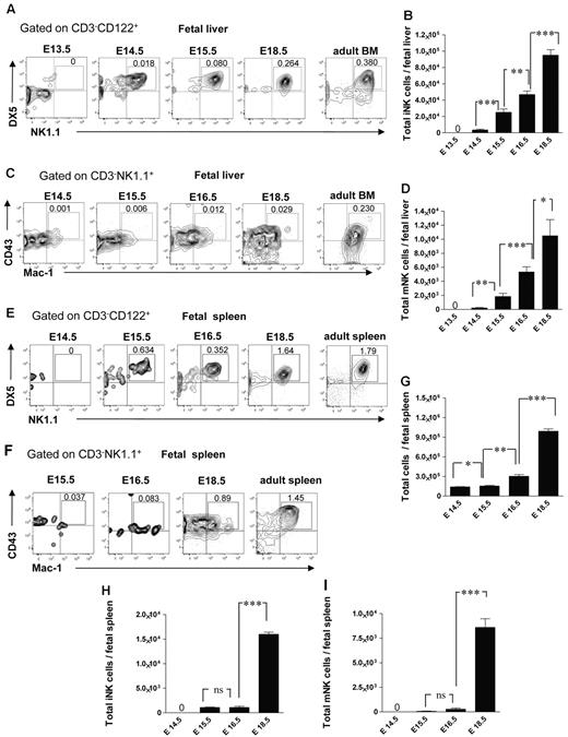 Figure 4. NK-cell subsets in the fetal liver and spleen. Representative FACS profiles (A) and total numbers (B) of CD3−CD122+NK1.1+DX5+ iNK and (C-D) CD3−NK1.1+CD43+Mac-1+ mNK cells at the different time points in the fetal liver. Data represent mean ± SD values from 5 to 14 livers analyzed in 12.5- to 18.5-day-old fetuses from 3 to 4 litters. Numbers in FACS profiles are mean frequencies of cell populations within the indicated gates, relative to total liver cells. Profile from the adult BM is included as a control. Representative FACS profiles of (E) CD3−NK1.1+DX5+ iNK cells and (F) CD3−NK1.1+CD43+Mac-1+ mNK cells in the fetal spleen. (G) Total number of fetal spleen cells, and (H) total number of iNK and (I) total number of mNK cells in the fetal spleen. Data represent mean ± SD values from 5 to 6 spleens analyzed in 14.5- to 18.5-day-old fetuses from 2 litters. Two spleens were pooled for the analysis. Profile from the adult spleen is included as a control; 0 indicates values below the detection level. *P < .05, **P < .01, and ***P < .0001. ns indicates not significant.