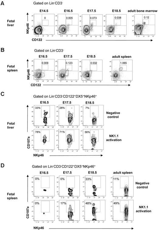Figure 5. Cytotoxic activity of NK cells in the fetal liver and spleen. FACS profiles of CD122 and NKp46 co-expression in (A) liver and (B) spleen in 14.5- to 18.5-day-old fetuses. BM and spleen cells from adult mice were used as a positive control. Numbers in FACS profiles indicate the mean frequencies of populations within the indicated gates. Text above plots indicates gating. Data from representative analysis, 3-5 fetuses were analyzed from 2 to 3 different litters; 2 spleens were pooled for the analysis. FACS profiles of CD107a expression by Lin−CD3−CD122+DX5+NKp46+ NK cells after activation with purified anti-NK1.1 Ab in (C) liver and (D) spleen cells in 14.5- to 18.5-day-old fetuses. Nonactivated cells were used as negative control, and cells from the adult spleen were used as positive control. Numbers in FACS profiles show frequencies of populations within the indicated gates of total cells. Data from one representative experiment with the use of cells from 2 litters, 3 replicates were performed, all giving similar results.