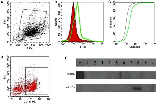 Figure 1. ANXII expression analysis by flow cytometry and cloned ANXII analysis by Western blotting. (A) Initial gating on total cell population. (B) Overlay histogram analyzing ANXII expression (in green) compared with isotype control (in red). (C) Graph illustrating the Kolmogorov-Smirnov test to calculate the D value (the green line is ANXII; the black line is the isotype control). The same strategy was used to analyze ANXII expression in CD117+ cells (D). (E) Western blot to determine ANXII expression in Pichia methanolica. Nine clones were tested for expression, and human serum albumin cloned into P methanolica (lane H) was used as the control (86 kDa). The approximate weight of the ANXII and pMET plasmid backbone was 41 kDa (lane 8).