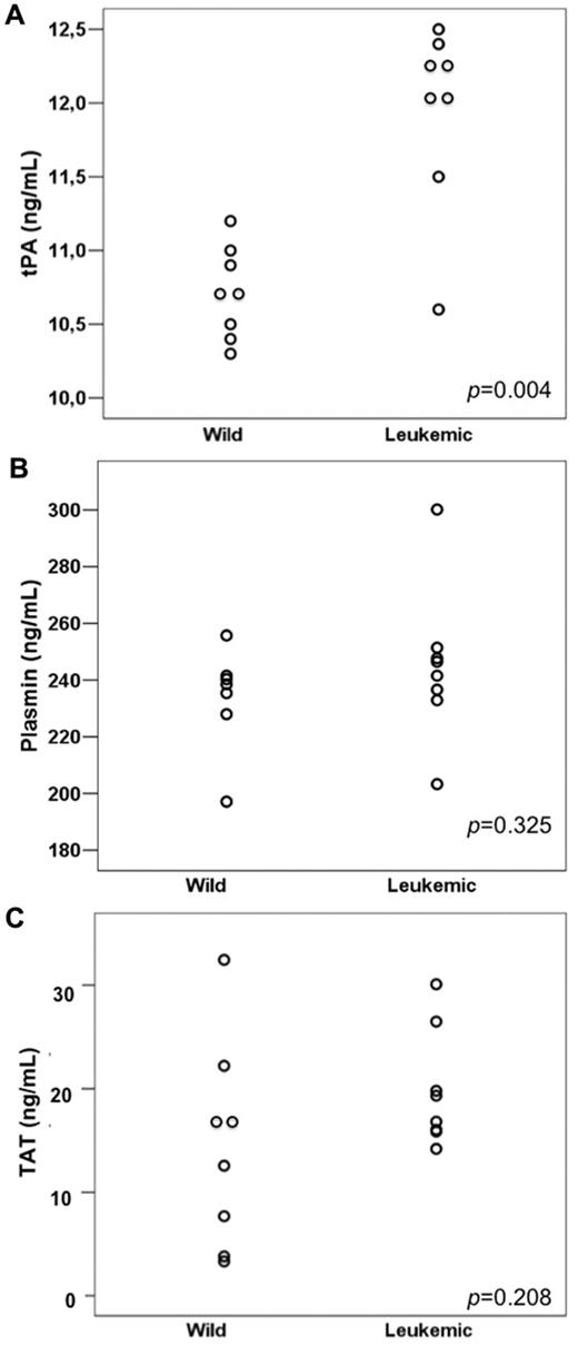 Figure 3. Fibrinolysis parameters in wild-type and leukemic recipient mice. (A) tPA levels were higher in mice transplanted with leukemic cells (Leukemic) compared with those transplanted with normal BM cells from wild-type (Wild) donors. No significant difference was observed in plasmin (B) and TAT (C) levels between the 2 groups.