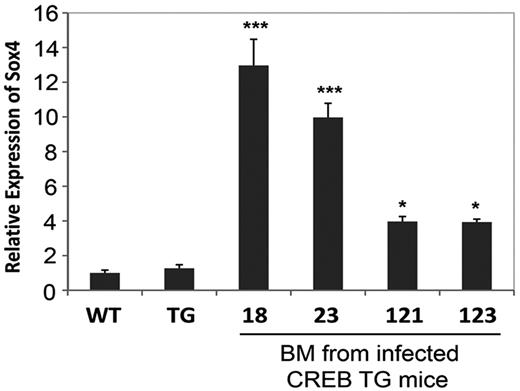 Figure 3. MOL4070LTR proviral integration. Real-time PCR analysis of Sox4 expression in the bone marrow of 4 representative CREB TG mice with leukemia. WT and TG control samples on graph represent Sox4 expression in bone marrow from normal WT and TG mice (ANOVA test P < .0001, Tukey *P < .05, **P < .01 ***P < .001). Real-time PCR experiments were performed in triplicate.