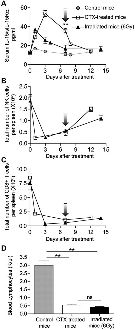 Figure 7. Different kinetics of IL-15/IL-15Rα heterodimers after CTX administration or whole-body irradiation. Six- to 8-week-old C57BL/6 mice were treated with CTX (□) or exposed to 6 Gy of whole-body irradiation (▴). Arrows indicate day 7 after treatment. (A). Mice were bled at the indicated time points after treatment, and the circulating IL-15/IL-15Rα heterodimers were measured by ELISA (eBioscience) and reported as mean ± SEM of 2 to 33 mice per time point. represents the average level of circulating mouse IL-15/IL-15Rα from 10 normal mice. **P = .007. (B-C) Mice were killed at the indicated time points after treatment, and spleens were collected for analysis. Total number of NK cells (B) and CD8+ T cells (C) per spleen over time was determined by flow cytometry. (D) Absolute count of lymphocytes in blood at day 7 after cytoreductive treatments. Three mice per group were analyzed. Hematologic profile on 10 untreated mice was also performed as control. **P < .01. ns indicates not significant.