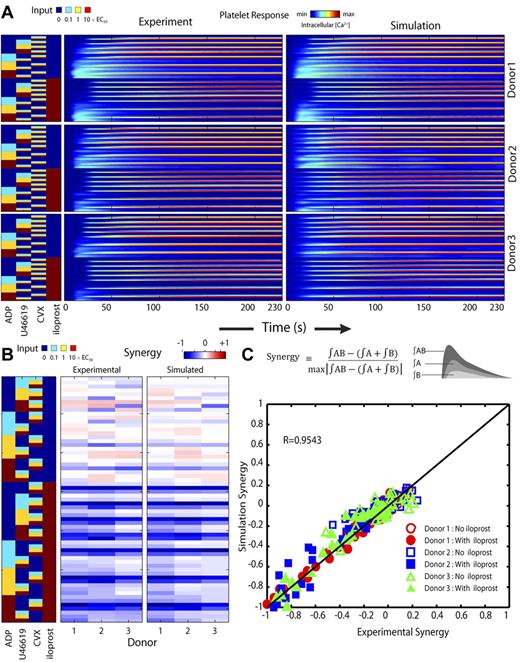 Figure 2. PAS for platelet calcium mobilization for 3 separate donors. For Donors 1-3, calcium traces were measured in the presence of low, medium, and high doses of ADP, U46619, and convulxin (CVX) in the presence or absence of iloprost and simulated by NN (A). The normalized synergy parameters (−1 ≤ S ≤ 1) for all measured pairs (± iloprost) was calculated for each donor as well as for the donor-specific NN-simulated calcium responses under identical conditions (B). Measured and NN-simulated synergy values were highly correlated, indicating successful training of the NN models (C).