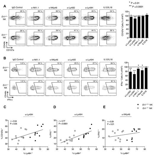Figure 3. Normal Ly49H-dependent NK-cell cytotoxicity in the absence of Eri1. B6 WT CD45.1+ lethally irradiated hosts were reconstituted with a 1:1 mixture of congenic WT (CD45.1+CD45.2+) and Eri1−/− (CD45.2+) fetal liver cells. (A) At 12 weeks, splenocytes were isolated and incubated in wells coated with IgG or mAbs against NK1.1, NKp46, Ly49D, or Ly49H in the presence of anti-CD107a mAb. Alternatively, NK cells were stimulated with IL-12 and IL-18. Frequency of degranulated WT (CD45.1+CD45.2+) and Eri1−/− (CD45.1−CD45.2+) CD107a+ NK cells (CD49b+TCRβ−) is shown. (B) Splenic NK cells stimulated as in panel A in the presence of brefeldin A and stained for intracellular IFN-γ. Flow cytometry plots show mean values for 10 mice. Summary graphs for Eri1−/− NK (right) show mean relative to WT ± SD (paired Student t test). (C-E) Regression of CD107a (C) or IFN-γ (D-E) expression on percentage of Ly49H+ NK cells after stimulation with indicated mAbs. The Pearson correlation coefficient (r) and significance test for nonzero correlation (P) are shown for each plot (N = 10 mice from 3 independent experiments).