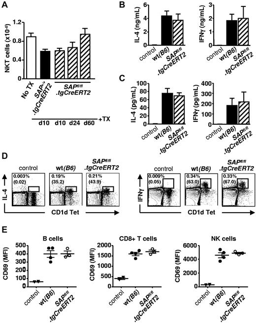 Figure 4. SAP negative NKT cells are functionally active. (A) Tamoxifen (1 mg) was administered for 4 days in SAPfl/fl.tgCreERT2 and SAP+/+.tgCreERT2 mice. Ten, 24, or 60 days after the last injection mice were killed. Total number of CD1d TET+ TCRβ+ NKT cells in the spleen was determined by flow cytometry. Representative of 2 independent experiments with 3 to 4 animals per group. (B) Serum cytokine levels 3 hours after injecting taxomifen-treated WT and SAPfl/fl.tgCreERT2 mice with αGalCer plus NP-KLH. Control group represents WT animals without αGalCer plus NP-KLH stimulation. (C) Ex vivo cytokine production of total splenocytes isolated from mice stimulated as in (B), and cultured for an additional 4 hours. (D) Splenocytes isolated freshly from mice stimulated as in panel B were subject to intracellular IL-4 and IFNγ staining. Percentages of CD1d tetramer+ and cytokine+ cells are calculated after gating on viable cells according to scatter characteristics. Percentages of cytokine-positive cells among CD1d tetramer+ TCRβ+ NKT cells are in brackets. (E) Bystander activation of B cells (B220+CD8−CD4−NK1.1−), CD8+ T cells (CD8+B220−CD4−NK1.1−) and NK cells (NK1.1+CD4−B220−) were determined by CD69 up-regulation in mice injected as in panel B.