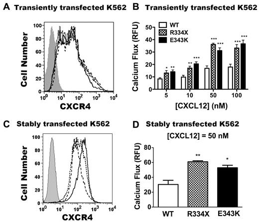 Figure 3. CXCR4E343K is a gain-of-function mutation: analysis in transfected K562 cells. (A,C) Expression of CXCR4 variants on untransfected K562 cells (gray area) or K562 cells transfected transiently (A) or stably (C) with CXCR4WT (solid line), CXCR4R334X (dashed line), and CXCR4E343K (dotted line). X-axis shows the mean fluorescence intensity of CXCR4 expression. (B) Peak calcium-flux responses of K562 cells transiently transfected with CXCR4WT, CXCR4R334X, and CXCR4E343K in response to the indicated doses of CXCL12. *P < .05; **P < .01; and ***P < .001 for the comparison between CXCR4WT and either CXCR4R334X or CXCR4E343K. Data are summarized as the means ± SEM from 4 independent experiments with 3 replicates each. (D) The peak calcium-flux response of K562 cells stably transfected with CXCR4WT, CXCR4R334X, and CXCR4E343K in response to 50nM CXCL12 stimulation. *P < .05 and **P < .01 for the comparison between CXCR4WT and CXCR4E343K or CXCR4R334X.