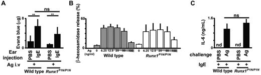 Figure 4. Runx1P1N/P1N mice have normal mast-cell functions. (A) Analysis of passive cutaneous anaphylaxis reactions in WT and Runx1P1N/P1N mice that received intradermal injections of IgE anti-DNP into the right ear pinnae and of saline into the left ear pinnae (control; none). After sensitization, mice were challenged intravenously with DNP-BSA. Data show means + SD of the extravasation of Evans blue into the ears. (B) Degranulation of WT and Runx1P1N/P1N BMCMCs, assessed as the release of β-hexosaminidase. BMCMCs were sensitized with anti-DNP IgE and stimulated with the indicated concentrations of DNP-HSA (0, 6.25, 12.5, 25, 50, and 100 ng/mL). Data show the means + SD. (C) ELISA of IL-6 in BMCMCs from WT and Runx1P1N/P1N mice sensitized with anti-DNP IgE and stimulated with DNP-HSA (10 ng/mL). nd indicates not detected. ***P < .0001; **P < .001; no asterisks, P > .05 relative to the corresponding WT mice. Data are from 1 of 3 independent experiments, each of which gave similar results.