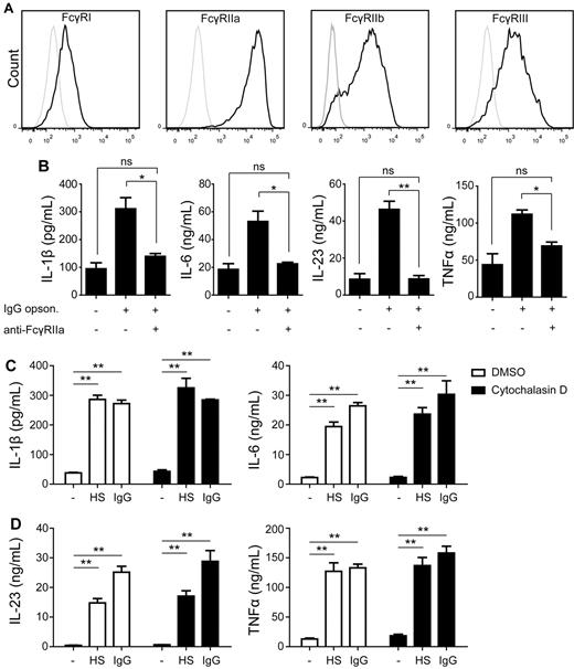 Figure 3. Up-regulation of cytokine production is mediated by FcγRIIa. (A) FcγR expression on immature DCs was measured by FACS. Black line indicates expression; and gray line, control. Data shown are from one representative experiment of 3 experiments with different donors. (B) DC were preincubated for 30 minutes with or without a blocking Ab against FcγRIIa, after which cells were stimulated with IgG-opsonized or nonopsonized S aureus. Cytokine levels were determined in the supernatant by ELISA. Data shown are from 1 representative experiment of 3 experiments with different donors. (C) DCs were preincubated for 2 hours with DMSO or 10μM Cytochalasin D, after which cells were stimulated with S aureus that was preincubated or not in human serum (HS) or purified IgG. Cytokine levels were determined in the supernatant by ELISA. Data shown are from 1 representative experiment of 3 experiments with different donors. Error bars indicate SEM; *P < .05, **P < .01; ns indicates not significant; paired t test.