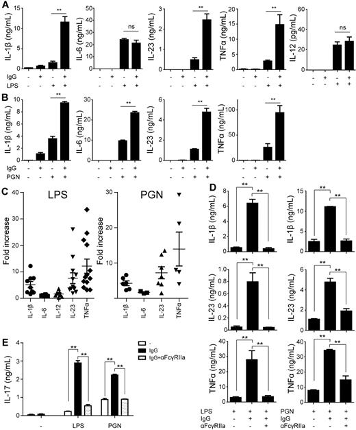 Figure 4. FcγRIIa ligation up-regulates Th17-promoting cytokines via synergy with TLR stimulation. (A-B) DCs were stimulated with plate-bound IgG, (A) LPS, (B) PGN, or a combination. After 24 hours, cytokine levels in the supernatant were determined by ELISA. Data shown are from 1 representative experiment of at least 5 experiments with different donors. (C) Fold-increase in cytokine production on LPS or PGN stimulation combined with plate-bound IgG stimulation compared with LPS or PGN stimulation without plate-bound IgG. For every cytokine, every dot represents a different donor tested in an individual experiment. (D) DCs were preincubated for 30 minutes with or without a blocking Ab against FcγRIIa, after which cells were stimulated with LPS or PGN in combination with plate-bound IgG. Data shown are from 1 representative experiment of 3 independent experiments with different donors. (E) DCs were preincubated for 30 minutes with or without a blocking Ab against FcγRIIa. Subsequently, the cells were stimulated with LPS or PGN in combination with plate-bound IgG and cocultured with CD4+ T cells. IL-17 levels were measured by ELISA at day 12, after restimulation with a CD3-specific and a CD28-specific Ab. Data shown are from 1 representative of 3 different donors. Error bars indicate SEM; *P < .05, **P < .01; ns indicates not significant; paired t test.