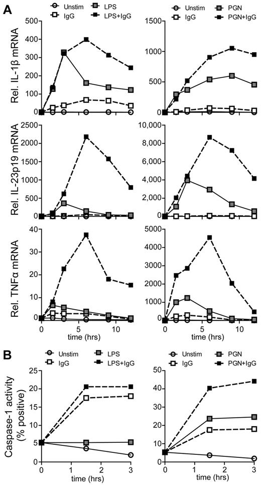 Figure 6. FcγRIIa ligation enhances cytokine transcription and activates caspase-1. (A) Relative mRNA expression was determined in DCs that were not stimulated, stimulated with plate-bound IgG, LPS, PGN, or a combination of LPS or PGN with plate-bound IgG. Lysates were made at the indicated time points, after which mRNA expression of the indicated genes was determined by real-time PCR. Expression is normalized to GAPDH and set at 1 for unstimulated cells at 0 hours. Data shown are from 1 representative experiment of 5 experiments using different donors. (B) Caspase-1 activation was determined in DCs that were unstimulated, stimulated with plate-bound-IgG, LPS, PGN, or a combination of LPS or PGN with plate-bound IgG. After stimulation at indicated time points, cells were washed and incubated with a fluorescent caspase-1 inhibitor for 1 hour, after which cells were washed and fluorescence was measured using flow cytometry. Data shown are from 1 representative experiment of 3 experiments using different donors.