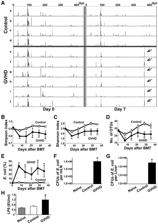 Figure 3. Perturbation of normal intestinal microbiota in GVHD. Fecal pellets were collected before and after a B6 → B6D2F1 BMT weekly and intestinal microbiota was characterized by RFLP analysis of 16S rRNA gene libraries constructed from each sample of fecal pellets and digested with HhaI (n = 6 / group). (A) Representative RFLP patterns are shown in control group (a-d) and GVHD group (e-j). Left panels indicate before BMT; right panels, 7 days after BMT. Arrows indicate an OTU for Escherichia coli. (B-D) Time course changes in flora diversity after BMT determined by using Simpson index (B), Shannon index (C), and numbers of OTUs (D). (E) Time course changes in the proportion of E coli. (F-G) Samples of mLNs and liver were harvested on day 7 and CFUs of E coli were enumerated by the culture-based and microbiologic identification method. (H) Serum LPS levels on day 7. Data are representative of 3 similar experiments and are shown as mean ± SE (*P < .05).