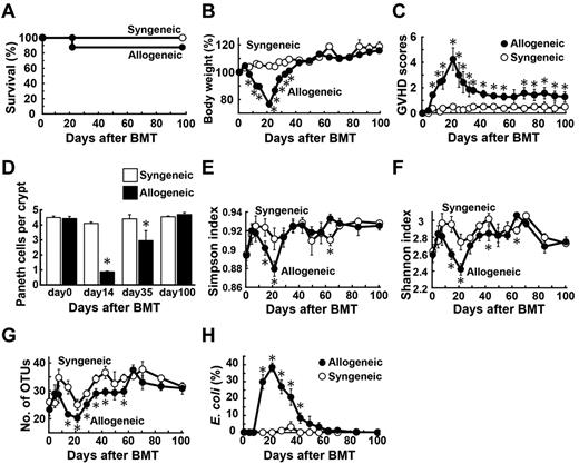 Figure 6. Paneth cell injury and the dysbiosis developed by a mechanism independent on conditioning. Unirradiated B6D2F1 mice were transplanted with 12 × 107 splenocytes from syngeneic or allogeneic MHC-mismatched B6 donors on day 0 (n = 6/group). Survival (A), changes in body weight (B, mean ± SE), clinical GVHD scores (C, mean ± SE), and (D) quantification of Paneth cells per crypt in the small intestine were shown. (E-H) Fecal pellets were collected before and after BMT weekly and intestinal microbiota was characterized by RFLP analysis of 16S rRNA gene libraries constructed from each sample of fecal pellets and digested with HhaI. Time course changes in flora diversity determined by using Simpson index (E), Shannon index (F), numbers of OTUs (G), and the proportion of E coli (H). Data from 2 independent experiments were combined and are shown as mean ± SE.
