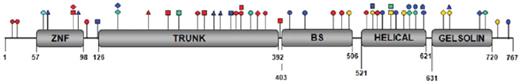 Figure 6. Distribution of SEC23B mutations along the protein structure. SEC23B mutations affect every domain of the protein. The 4 different colors represent mutations reported in 4 different studies. ○ indicates missense mutation; □, nonsense mutation; ▵, splice site mutation; and ◊, frameshift mutation. Reprinted from Russo et al94 with permission.