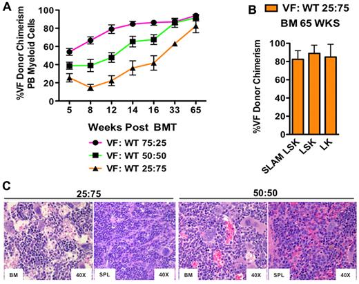 Figure 2. Jak2V617F MPN-initiating cells dominate hematopoiesis over time. (A) The percentage of Jak2+/VF (VF) donor myeloid chimerism assessed in peripheral blood (PB) from lethally irradiated secondary recipients of Jak2+/VFE2Acre+ and Jak2+/+E2Acre+ LSK cells in 75:25, 50:50, and 25:75 ratios, respectively, measured 5-65 weeks posttransplantation (mean ± SEM; n = 2-6 in each group). (B) Jak2+/VF (VF) to Jak2+/+ (WT) chimerism ratios assessed in BM SLAM LSK, LSK, and LK compartments from lethally irradiated WT recipients of Jak2+/VFE2Acre+ and Jak2+/+E2Acre+ LSK cells in a 25:75 ratio, measured 65 weeks after transplantation (mean ± SEM; n = 2 in each group). (C) Histopathologic (HE) sections of BM and spleen (SPL) from representative mice transplanted with Jak2+/VFE2Acre+ and Jak2+/+E2Acre+ LSK cells in 50:50 or 25:75 ratios, demonstrating erythroid and megakaryocytic hyperplasia in both groups.