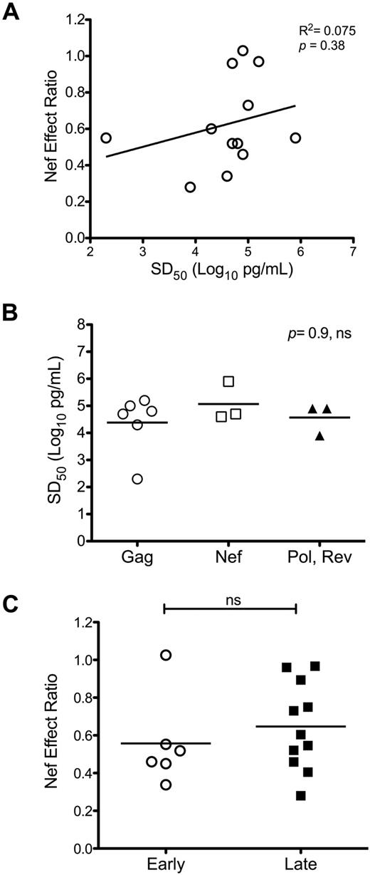 Figure 4. Impact of Nef on HIV-1–specific CTL antiviral activity is not influenced by CTL functional avidity or Rev dependence of the epitope source protein. Nef-effect ratios for the tested CTL clones were compared according to functional avidity and Rev-dependence status. (A) Nef-effect ratio plotted against functional avidity (SD50) for each tested CTL clone; there was no significant correlation by the Pearson test. (B) Functional avidities of CTLs targeting Gag-derived epitopes compared with those directed against epitopes located in non-Gag proteins; the horizontal bars represent the means. There was no significant difference between groups by the Kruskal-Wallis test for multiple comparisons. (C) Nef-effect ratios plotted for CTLs recognizing epitopes from “early” (Rev-independent, Nef and Rev) versus “late” (Rev-dependent, Gag, Pol, Vpr, and Env) proteins. There was no significant difference between groups by a 2-tailed Student t test.