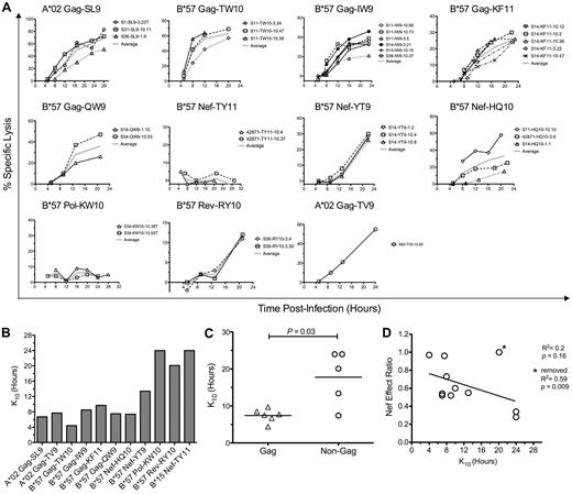 Figure 5. CTL resistance to Nef is associated with early killing of HIV-1–infected cells. The timing of CTL killing of 1CC4.14 cells after acute infection with VSV-G Env-pseudotyped NL4-3-ΔEnv was assessed by serial 51Cr measurements over 24 hours. (A) Specific lysis plotted over time by epitope. Results with CTL clones are plotted with symbols and the average across clones is plotted with a broad gray line. (B) Estimates of time to reach 10% specific lysis (K10) are indicated. The estimates were obtained by fitting average lysis curves for each epitope with logarithmic regression. Note that CTLs targeting the B*15-restricted Nef TY11 and the B*57-restricted Pol KW10 epitopes were unable to recognize virus-infected cells within the first 24 hours of infection, and therefore each epitope was assigned a conservative K10 value of 24 hours. The inability of these CTL clones to recognize virus-infected targets was not because of inactivity of the clones, because they efficiently killed cells infected with HIV-1 containing the Nef M20A mutation (data not shown). (C) K10 values of Gag-specific versus non-Gag–specific CTLs are compared. Each point represents the K10 value for an epitope; the horizontal bar represents the mean across epitopes. Statistical significance was evaluated with a 2-tailed Student t test. (D) K10 values are plotted against Nef-effect ratios for all epitopes. Statistical significance was tested with a Pearson test. Note that these results were obtained using HIV-1 containing wild-type Nef; nearly identical values were obtained using virus with Nef-M20A, although the efficiencies of infected cell killing were slightly higher (data not shown). Asterisk indicates results after removing an outlier, the B*57-restricted Rev RY10 epitope.
