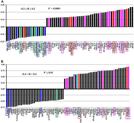 Figure 4. Correlation of survivin expression levels with the levels of other proteins in samples from 511 newly diagnosed AML patients and in CD34+38− cells isolated from blasts of AML patients. (A) Levels of survivin and 206 other proteins were determined by RPPA in the same sample set of 511 newly diagnosed AML samples. The expression level of survivin was correlated with the expression of 206 proteins and those with Pearson correlation −0.2 ≥ R ≥ 0.2 (P < .0001) are shown. (B) Levels of survivin and 120 other proteins were determined by RPPA in CD34+38− cells isolated from blasts of 37 AML patients. The expression level of survivin was correlated with the expression of 120 other proteins and those with Pearson correlation −0.4 > R > 0.4 (P ≤ .01) are shown.