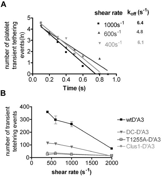 Figure 3. Kinetics of GPIbα-A1 interaction. (A) Disassociation rate constants were estimated at wall shear stresses between 400 and 2000 s−1 using a 2 μg/mL coating concentration of recombinant protein based on the duration of transient tether events. Kinetics of transient tethering between platelets and DC-D′A3 variant at a shear rates of 400, 600, and 1000 s−1 is demonstrated as an example. The natural logarithm of the number of tethering events (∼ 150 individual interactions) was plotted against the duration of tethering and the negative slope of the lines is the koff. Disassociation rate values at each shear rate are indicated (R2 values were ∼ 0.9). (B) Rate of platelet tethering to either wtD-A3 or OLG variants was plotted a function of shear rate. The graph shows the number of platelets that transiently tethered to each substrate at a given shear rate, during 5 seconds at 3 different fields of view (0.4 × 0.3 mm). Values are shown as mean ± SEM of 3 independent experiments.