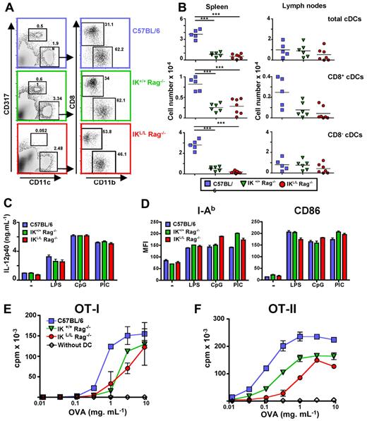Figure 2. cDCs from IKL/L Rag−/− mice are functional. Spleen cells from C57BL/6, IK+/+ Rag−/−, or IKL/L Rag−/− mice were stained and analyzed using flow cytometry. (A) CD11chigh CD317− cells were gated and analyzed for the expression of CD8 and CD11b markers. Numbers indicate the percentage of events within the indicated gate. (B) Cumulative data of numbers of CD11chigh cells (first row), CD11chigh CD8+ cDCs (second row), and CD11chigh CD8− cDCs (third row) from the spleen (first column) or LN (second column). Each dot corresponds to results obtained from individual mice, and bars represent the mean. ***P < .001. (C-D) Purified CD11chigh spleen cells from C57BL/6, IK+/+ Rag−/−, and IKL/L Rag−/− mice were cultured in medium alone or in the presence of LPS (2 μg/mL), CpG (10 μg/mL), or PIC (10 μg/mL) for 18 hours. The concentration of IL-12p40 in the supernatants was determined by ELISA (C), and cells were labeled and analyzed by flow cytometry (D). I-Ab and CD86 expression on CD11chigh-gated cells from the indicated mouse strains is expressed as the mean fluorescence intensity (MFI). One representative experiment of 4 is shown. (E-F) A total of 104 purified CD11chigh spleen cells from the indicated mouse strains were incubated for 2 hours in the presence of various concentrations of OVA. Cells were washed twice and cocultured with 2 × 104 LN cells from OT-I (E) or OT-II (F) transgenic mice for 36 hours. T-cell proliferation was measured by 3H-labeled thymidine incorporation during the final 6 hours of culture. Proliferation of OT-I and OT-II LN cells in the absence of DCs is shown (white diamonds). Results are expressed as the mean cpm ± SD for duplicate wells. One representative experiment of 3 is shown.