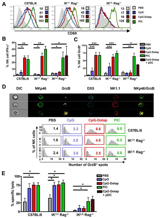 Figure 4. Functional defect in the NK-cell activity of IKL/L Rag−/− mice after TLR9 stimulation. (A) CD69 expression on splenic NK cells (gated on NK1.1+ DX5+) from C57BL/6, IK+/+ Rag−/−, or IKL/L Rag−/− mice 18 hours after intravenous injection of PBS, CpG, CpG-Dotap, or PIC. Numbers indicate mean fluorescence intensity for each histogram. (B-C) C57BL/6, IK+/+ Rag−/−, or IKL/L Rag−/− mice were injected with PBS, CpG, CpG-Dotap, or PIC. Some IKL/L Rag−/− mice were also reconstituted with 1 to 2 × 106 purified pDCs 1 day before CpG-Dotap injection (CpG-Dotap + pDC). After 4 hours (B) or 18 hours (C), spleen cells were labeled, and IFN-γ (B) or GrzB (C) production by NK cells (NK1.1+ DX5+ cells) was determined by intracellular staining. Results are expressed as the mean of the percentage of IFN-γ+ (B) or GrzB+ (C) NK cells ± SD from 5 mice. Data are from 3 experiments. *P < .05. **P < .01. ***P < .001. (D) Top panel: the morphology and enumeration of GrzB+ spots in NKp46+ DX5+ NK1.1+ cells from C57BL/6 mice 18 hours after injection of CpG-Dotap by multispectral imaging. Representative images show NK cells (NKp46+ DX5+ NK1.1+) with 1 (first row), 3 (second row), and 10 (third row) GrzB+ spots. Bottom panel: the indicated mouse strains were injected with PBS alone, CpG, CpG-Dotap, or PIC. After 18 hours, the numbers of GrzB+ spots in NK cells were quantified. Bars represent the distribution of GrzB+ spot counts on NKp46+ DX5+ NK1.1+ cells, and numbers indicate the mean of GrzB+ spots per NK cell. One representative experiment of 4 is shown. (E) C57BL/6, IK+/+ Rag−/−, and IKL/L Rag−/− mice were injected with PBS, CpG, CpG-Dotap, or PIC. Some IKL/L Rag−/− mice were also reconstituted with 1 to 2 × 106 purified pDC 1 day before CpG-Dotap injection (CpG-Dotap + pDC). After 18 hours, NK-cell cytotoxic activity was determined with a 4-hour in vivo killing assay using β2m knockout splenocytes as target cells. Data shown are from 4 experiments. *P < .05.