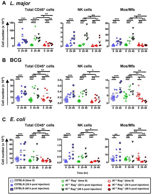 Figure 7. Defect in intraperitoneal cell recruitment in response to pathogens in the absence of pDCs. C57BL/6, IK+/+ Rag−/−, and IKL/L Rag−/− mice were injected intraperitoneally with 109 heat-killed L major promastigotes (A), 2 × 107 CFU of BCG (B), or 5 × 108 CFU of heat-inactivated E coli (C). Intraperitoneal cells were collected before or 24 and 48 hours after injection, and the number of CD45+ cells (left panel), NK cells (middle panel), and monocytes/macrophages (Mos/Mfs, right panel) were determined. NK cells and monocytes/macrophages were characterized as shown in supplemental Figure 5. Each dot represents the cell number obtained from individual mice, and bars represent the mean. Data shown are the cumulative results of 3 experiments. ns indicates not significant (P > .05). *P < .05. **P < .01. ***P < .001.
