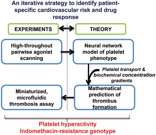 High-throughput experiments and mathematical modeling applied to define platelet phenotype. Pair-wise agonist scanning captures the response of platelets to complex, combinatorial stimulus input. The results are stored in an artificial neutral network. The neutral network is embedded in a multiscale model of platelet adhesion and thrombus growth. Mathematical model predictions are validated using cell adhesion assays performed in a microfluidic flow cell.