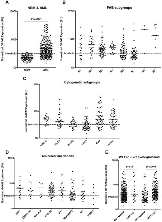 Figure 2. GATA2 expression in normal BM and different morphologic, cytogenetic, and molecular AML subgroups. (A) Normalized expression levels of GATA2 in pretreatment samples of 237 children with de novo AML and 80 normal BM samples. Expression was significantly higher in AML compared with normal BM. Normalized expression levels of GATA2 in different morphological FAB subgroups (B), in cytogenetic subgroups (C), and in molecular subgroups including molecular aberrations (D) and AML with WT1 or EVI1 overexpression (E). GATA2 expression was determined using gene-expression arrays (Affymetrix HGU133 Plus 2.0 microarray, probe set 209710_at) or real-time quantitative PCR. Median values are depicted by the horizontal lines. The Mann-Whitney U test was used to compare expression levels between groups. The threshold for high versus normal GATA2 expression is based on median GATA2 in normal BM + 2 SD and is depicted as a dashed line.