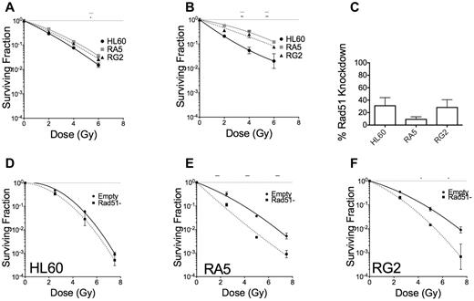 Figure 7. RA5 and RG2 depend on homology directed repair for radioresistance. Cells were synchronized to the early G1/S border by double thymidine block and were irradiated 1 hour (A) or 5 hours (B) after release into regular medium and assayed for clonogenic survival. (C) Percent knockdown of Rad51 relative to cells infected with control virus after normalization to β-actin. (D-F) Cells were irradiated with indicated doses of γ-IR and assayed for clonogenic survival. Data are mean ± SEM from at least 2 independent experiments. *P < .05, **P < .01, and ***P < .001, for indicated dose relative to HL60 (A-B) or in Rad51-depleted cells relative to “Empty” control cells (D-F).