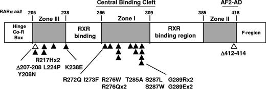 Figure 1. Mutation sites in the ligand binding domain of PML-RARα after relapse on protocol C9710 (ATRA/CT-arm). ▴ represents site of 17 missense mutations; and ▵, site of 2 deletion (Δ) mutations. Δ207-208, ΔK207Y208/T207 indicates deletion of lysine and tyrosine corresponding to amino acids 207 and 208 of normal RARα with maintenance of the normal downstream reading frame beginning with RARα threonine 209, now 207; similarly, Δ412-414, ΔE412M413L414/E415→E412.