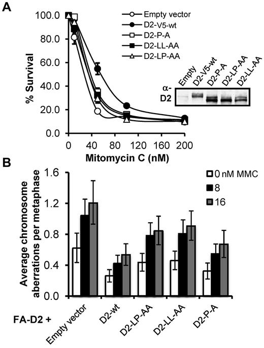 Figure 7. The FANCD2 CUE mutants fail to rescue the MMC-hypersensitivity of FA-D2 patient cells. (A) FA-D2 cells reconstituted with WT or mutant FANCD2 were treated with the indicated concentrations of mitomycin C (MMC) for 7 to 10 days. Cells were fixed and stained with crystal violet and percent survival calculated and plotted. Each measurement was performed in triplicate. The averages for 3 independent experiments were calculated and plotted. (B) FA-D2 cells reconstituted with WT or mutant FANCD2 were incubated in the absence or presence of 8 or 16nM MMC for 24 hours and the numbers of chromosome aberrations including gaps and breaks, dicentrics, and complex chromosome aberrations, including radial formations, were scored. Metaphase spreads were analyzed using a Zeiss AxioImager.A1 upright epifluorescent microscope with AxioVision LE 4.6 image acquisition software. At least 80 metaphases were scored per treatment. Error bars represent the standard error of the mean.