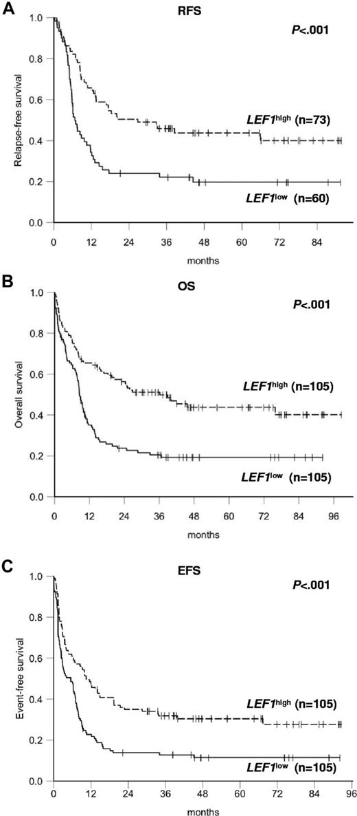 Figure 1. Survival of CN-AML patients according to LEF1 expression levels. Kaplan-Meier plots of (A) RFS, (B) OS, and (C) EFS in the primary cohort.