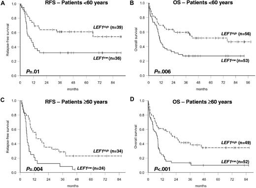 Figure 2. Survival of CN-AML patients according to age group and LEF1 expression. (A) RFS and (B) OS of CN-AML patients younger than 60 years of age. (C) RFS and (D) OS of CN-AML patients aged 60 years or older.