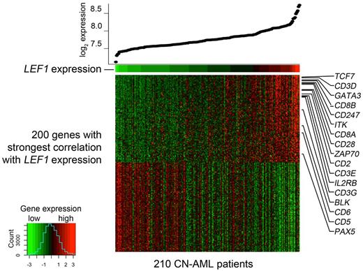 Figure 5. Heatmap image of the 200 genes showing the strongest absolute correlation with LEF1 expression levels. Each column represents 1 of the 210 CN-AML patients, ordered from left to right according to increasing LEF1 expression. LEF1 expression levels are displayed on top of the heatmap. Each row represents 1 gene, ordered from top to bottom according to their Spearman correlation coefficient in descending order.