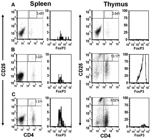 Figure 2. A representative flow cytometric dot plot analysis of CD4+CD25+ T cells and the corresponding gated histograms of FoxP3+ T cells in the spleen (left panels) and thymus (right panels) of the indicated mice at 21 days after transfer. (A) Irradiated SCID mice transferred with 1.5 × 104 splenocytes from naive BALB/c mice. (B) Irradiated SCID mice transferred with 1.5 × 104 splenocytes from CD61 KO mice immunized against BALB/c platelets and (C) irradiated SCID mice transferred with 1.5 × 104 splenocytes from CD61 KO mice immunized against WT BALB/c platelets and treated biweekly with 2 g/kg IVIg. Freshly isolated splenocytes and thymocytes were stained and analyzed by flow cytometry using a lymphocyte gate based on anti-CD4 green and CD25 red fluorescence in the dot plots. The histograms of FoxP3+ cells in the CD4+CD25hi+ fluorescent gate are shown.