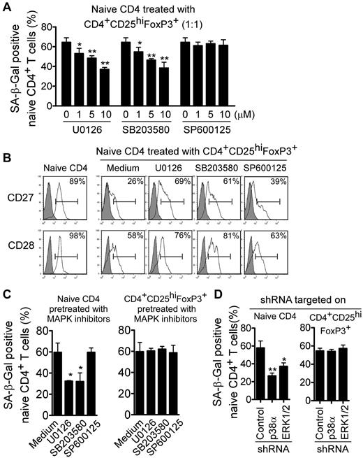 Figure 4. Blockage of ERK1/2 and p38 signaling in responder T cells prevents Treg-induced T-cell senescence. (A-B) Inhibition of ERK1/2 or p38 signaling pathways by specific pharmacologic inhibitors reversed the T-cell senescence induced by CD4+CD25hiFoxP3+ Treg cells significantly, resulting in decreased SA-β-Gal expression (A) and restored CD27 and CD28 expression in Treg-treated naive T cells (B). CFSE-labeled naive CD4+ T cells were cocultured with Treg cells in anti-CD3–coated (2 μg/mL) plates in the presence or absence of different dosages of the inhibitors U0126, SB203580, or SP600125 (1, 5, or 10μM) for 5 days. The treated naive CD4+ T cells were purified by FACS and then stained with SA-β-Gal staining reagents or analyzed for CD27 and CD28 expression. *P < .05 and **P < .01 compared with the group not treated with inhibitor. (C) Pretreatment with inhibitors in naive CD4+ T cells, but not in Treg cells, decreased the SA-β-Gal+ CD4+ T-cell populations. Naive CD4+ T cells or CD4+CD25hiFoxp3+ Treg cells were pretreated with each MAPK inhibitor (10μM) for 2 days and cocultured with untreated Treg cells or naive CD4+ T cells, respectively, for 5 days. The number of SA-β-Gal+–naive CD4+ T cells was then determined. *P < .05 compared with the group not treated with inhibitor. (D) Knockdown of ERK1/2 and p38 genes by shRNA in naive CD4+ T cells but not in CD4+CD25hi FoxP3+ Treg cells reversed Treg-induced T-cell senescence dramatically. Naive CD4+ T cells or Treg cells were transfected with lentiviral shRNAs specific for ERK1/2 or p38 molecules. Transduced (green fluorescent protein–positive) naive CD4+ T cells or Treg cells were purified by FACS sorting and then cocultured with untransduced Treg cells or naive CD4+ T cells, respectively, for 5 days. The number of SA-β-Gal+–naive CD4+ T cells was then determined. *P < .05 and **P < .01 compared with the group transduced with control shRNA. Data shown are representative of 3 independent experiments with similar results.