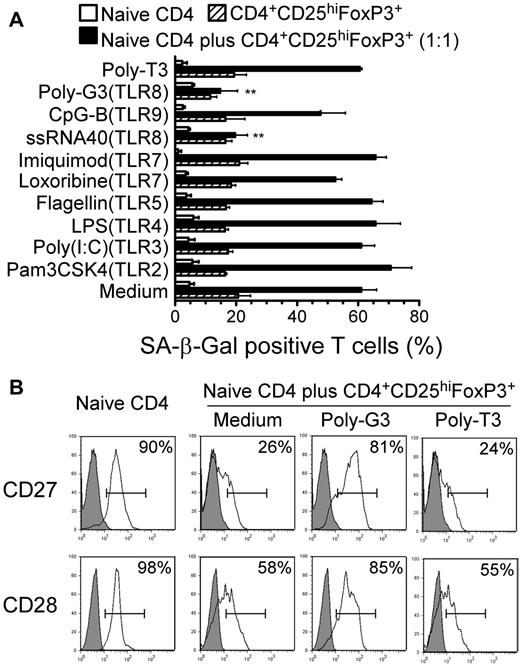 Figure 6. TLR8 ligands reverse Treg-induced T-cell senescence. (A) The TLR8 ligands poly-G3 and ssRNA40, but not ligands for other TLRs, reversed markedly the ability of human CD4+CD25hiFoxP3+ Treg cells to induce naive CD4+ T-cell senescence. CFSE-labeled naive CD4+ T cells were incubated alone or cocultured with Treg cells in anti-CD3–coated plates in the presence of the indicated TLR ligands for 5 days. The treated naive CD4+ T cells were purified by FACS sorting and the SA-β-Gal+ T-cell populations in the different groups were determined. Poly-T3 (3 μg/mL) served as a control. **P < .01 compared with the groups treated with medium or other TLR ligands. Data shown are representative of 3 independent experiments with similar results. (B) Poly-G3 restored the expression of CD27 and CD28 in naive CD4+ T cells induced by human CD4+CD25hiFoxp3+ Treg cells. Naive CD4+ T cells were cultured with CD4+CD25hiFoxP3+ Treg at a ratio of 1:1 in the presence of poly-G3 or control poly-T3 for 5 days. Treated naive CD4+ T cells were separated and CD27 or CD28 expression was analyzed by FACS.