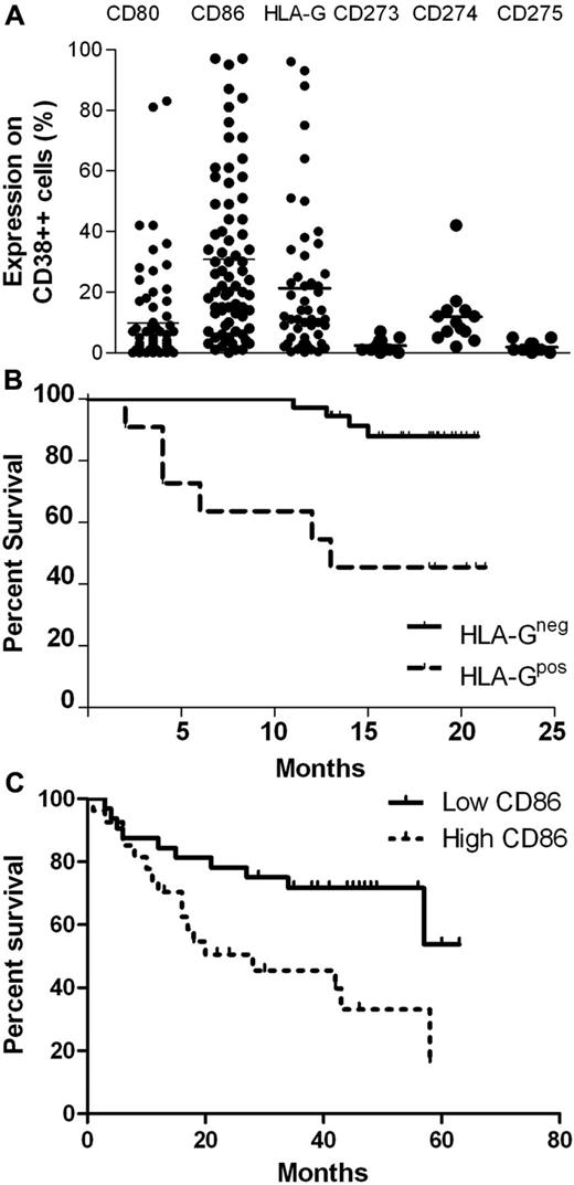 Figure 2. Expression and functional significance of B7 antigens and HLA-G on plasma cells. (A) Expression of CD80, CD86, HLA-G, CD273, CD274, and CD275 on BM plasma cells (CD38++) of patients with myeloma. (B) Overall survival of patients according to HLA-G expression on BM plasma cells with HLA-G expression > 12% (HLA-G–positive) and < 12% (HLA-G–negative; χ2 = 12.4; P < .0004). (C) Overall survival of patients who had CD86 positive n = 33) and CD86 negative plasma cells (n = 28; χ2 = 6.5; P < .01) at diagnosis with CD86 positivity defined as > 60% (the upper limit of CD86 expression on normal plasma cells).