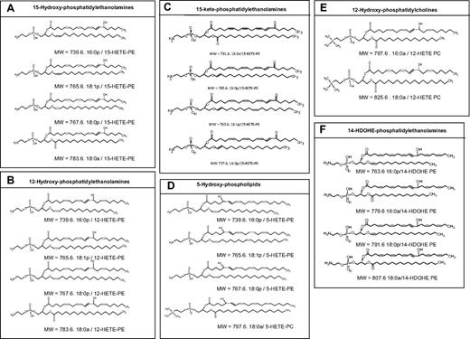 Figure 1. Structures of esterified eicosanoids acutely generated by human and murine immune cells. (A) Lipids generated by human monocytes and bronchial epithelial cells. (B) Lipids generated by human platelets and murine peritoneal macrophages. (C) Lipids generated by human macrophages. (D) Lipids generated by human neutrophils. (E-F) Lipids generated by human platelets. Note that additional lipids not shown here include esterified HpODEs generated by monocytes and macrophages, and PGE2/D2-PEs generated by human platelets.