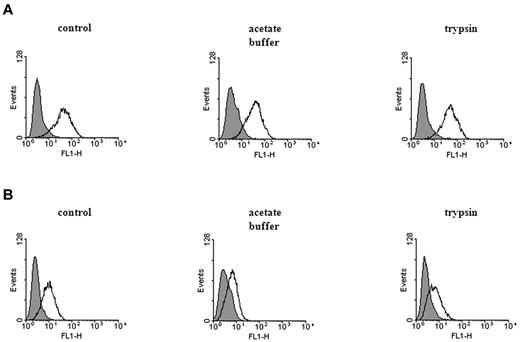 Figure 5. Cell surface IL-15 is not associated with its own receptor. (A) MONO-MAC-6 were treated with IFN-γ (500 U/mL) for 24 hours. Cells were then washed and incubated in PBS, acetate buffer (pH 4.4), or trypsin as described in Materials and Methods. All groups were stained with rabbit anti–human IL-15 polyclonal antibodies (Peprotech) and analyzed on FACSCalibur. Fluorescence intensity is represented by open histograms; solid histograms refer to background staining of isotype control. (B) MONO-MAC-6 treated with IFN-γ as described above were incubated with PBS (left panel) or trypsin (right panel). Cells were then incubated with biotinylated human IL-15:Fc fusion protein (Chimerigen; open histogram) or with equal amount of control fusion protein (solid histogram) followed by FITC streptavidin (BD Biosciences). In the central panel, cells were incubated with the biotinylated IL-15:Fc fusion protein and then with acetate buffer, pH 4.4. The x-axis represents the intensity of green fluorescence expressed in a log scale as mean channel, and the y-axis represents the number of cells per channel.