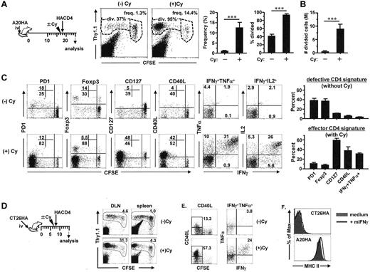 Figure 1. Tumor-specific CD4+ T cells transferred after Cy-treatment acquire a polyfunctional effector signature. Following the timeline depicted in the schema, mice were treated or not treated with Cy before receiving CFSE-labeled CD4+ T cells derived from HA-TCR Tg mice (Thy1.1 background). Seven days after T-cell transfer, spleen cells were harvested for analysis. (A) The frequency and cell division of the transferred CD4+ T cells are shown in representative dot plots. Results are summarized in bar graphs. (B) The absolute numbers of divided donor CD4+ T cells. The calculation formula is: total spleen cell number × frequency of transferred CD4+ T cells × fraction of divided cells (***P < .001). (C) Phenotypic and functional analyses of the transferred CD4+ T cells. PD1, Foxp3, CD127, and CD40L expression profiles relative to cell division of the transferred CD4+ T cells are shown. Cytokine expression in transferred CD4+ T cells was assayed by intracellular cytokine staining (ICS) after 4 hours of antigenic stimulation in vitro, and the plots shown are gated on the divided CD4+ T cells. Numbers in plots indicate the percentage of cells in the corresponding quadrant. The bar graphs summarize the percentages of divided donor CD4+ T cells positive for the indicated markers. Data shown in each bar graph are results from 2 independent experiments and represented as mean ± SD of at least 6 mice per group. (D) Similar experiments were conducted in CT26HA tumor model. The schema outlines the timeline of the procedures. Seven days after T-cell transfer, spleens and lung draining lymph nodes (DLNs) were recovered and analyzed. Dot plots are representative of the transferred CD4+ T cells in DLNs and spleen. Numbers represent the frequency of the gated donor CD4+ T cells. (E) Expression of CD40L in transferred CD4+ T cells in DLNs and ICS measurement of cytokines in divided donor CD4+ T cells. Numbers in the left panel indicate the percentages of CD40Lhigh cells in divided donor CD4+ T cells. Numbers in the right panel represent the percentages of IFNγ and TNFα double-positive cells in divided donor CD4+ T cells. Data shown are representative of 3 independent experiments with similar results. (F) CT26HA tumor cells remain MHC II negative even in the presence of IFNγ. CT26HA were cultured in the absence of presence of 100 ng/mL murine IFNγ for 2 days and then stained for MHC II. A20HA cells were used as a positive control for constitutive and IFNγ-inducible MHC II expressions.