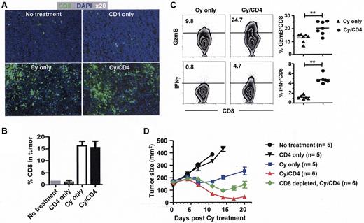Figure 3. CD4+ effector T cells enable and collaborate with intratumoral CD8+ T cells to mediate enhanced antitumor effects after chemotherapy. Following the procedures depicted in Figure 2, tumors were excised 7 days after CD4+ T-cell transfer and subject to (A) immunofluorescence staining of host CD8+ T cells. The representative composite images show CD8+ cells (green) and DAPI (blue) staining in tumor sections (original magnification, ×20). (B) Frequency of tumor-infiltrating CD8+ T cells measured by flow cytometry analysis. Single-cell suspensions made from resected tumor masses were stained for CD8. Bar graph shows percentage of intratumoral CD8+ T cells in each group. Results shown are from 2 independent experiments with 6 mice per group (mean ± SD). (C) Functional analysis of intratumoral CD8+ T cells. Granzyme B level was evaluated ex vivo, IFNγ production was assayed by ICS after 4 hours stimulation of purified CD8+ T cells with PMA/ionomycin. Representative dot plots are shown, and the results are summarized in scatter plots (**P < .005). (D) Tumor growth kinetics in mice receiving the indicated treatments. Number of mice in each group is given.